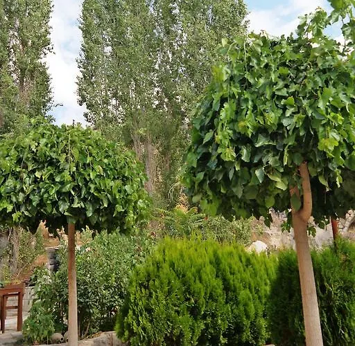 Dreams Cave Отель 4*